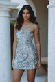 KAROLINE SEQUIN VELOUR DRESS - SILVER