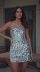 KAROLINE SEQUIN VELOUR DRESS - SILVER