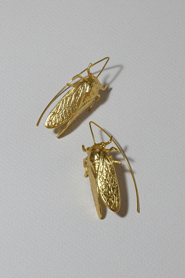 THE BEETLE GOLD PLATED EARRINGS